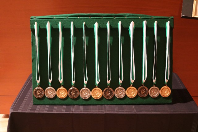 The Medallions